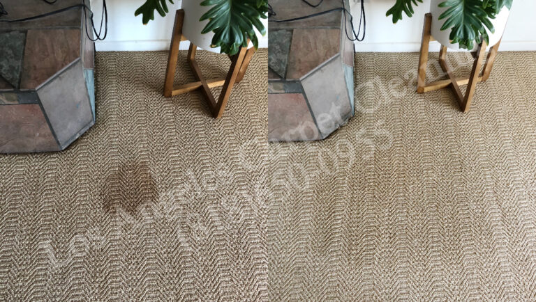 Stain Removal and Cleaning in Carpeted Area