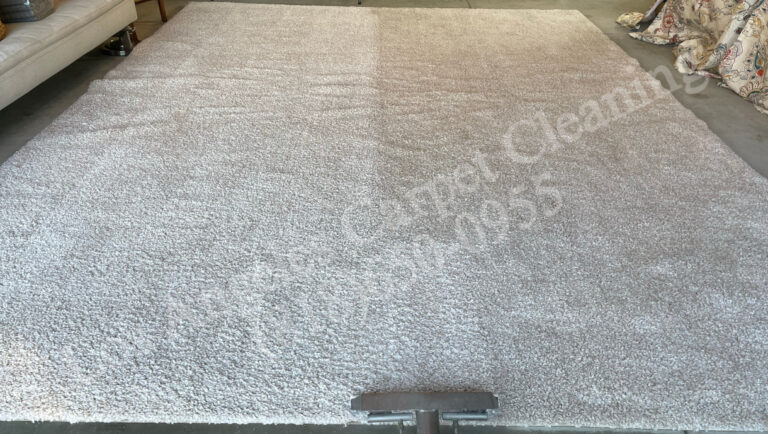 White Area Rug Cleaning