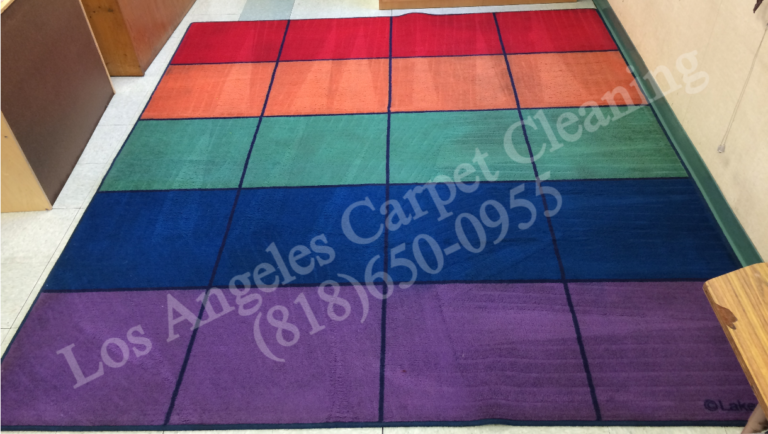 Classroom Area Rug Mat Cleaning