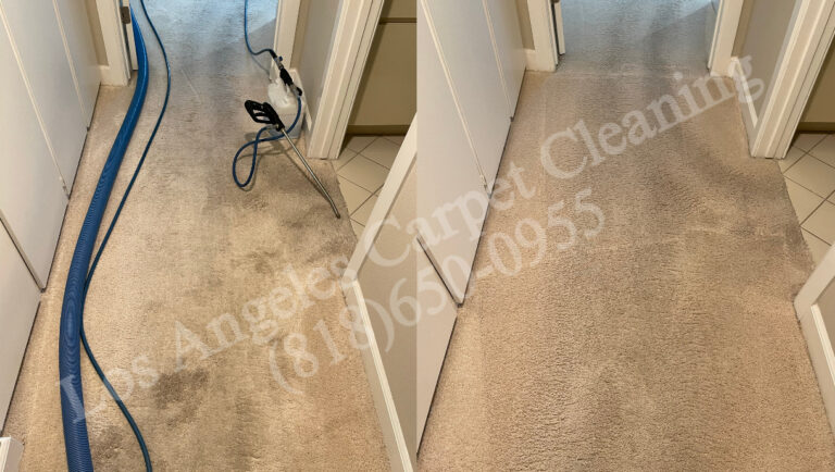 Before and After of Hallway Carpet Cleaning