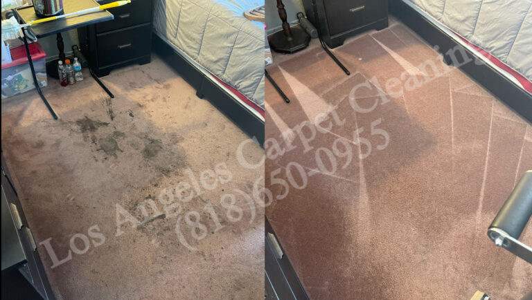 Stain Removal in Bedroom Carpeting