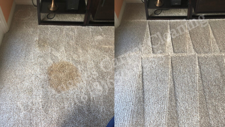 Spot Removal in Carpeted Living Area