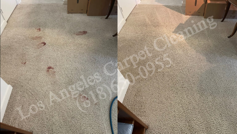 Stain Removal in Carpeted Living Room
