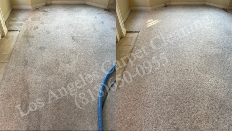 Entry Way Carpet Cleaning Before and After