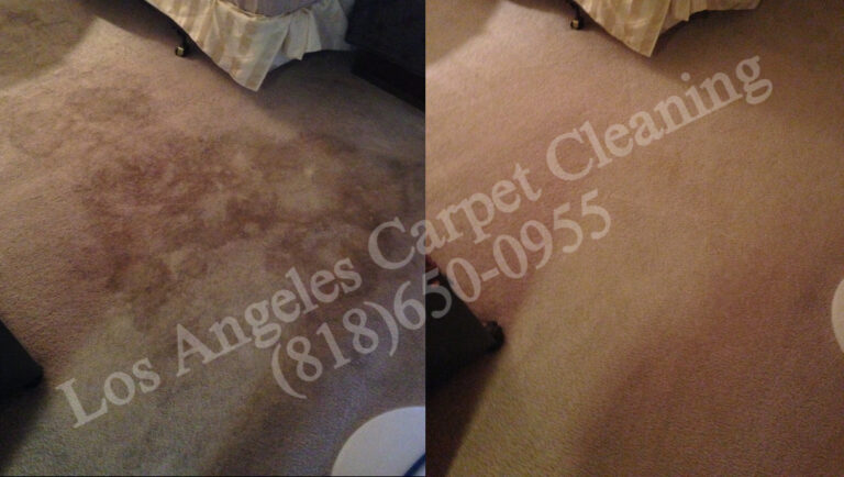 Carpet Cleaning 8