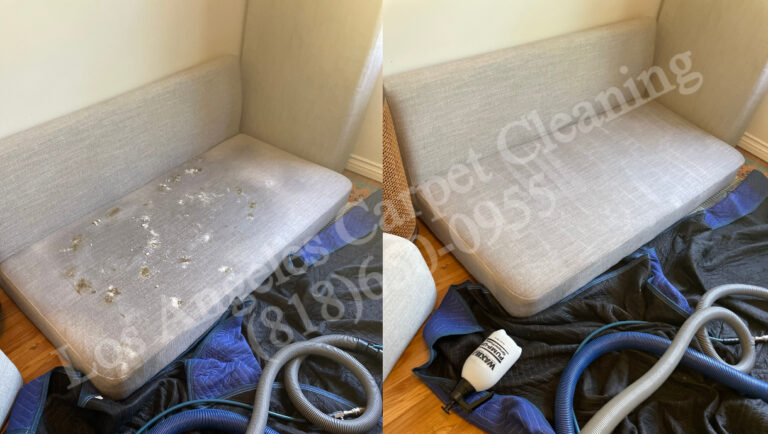 Light Gray Loveseat Upholstery Cleaning