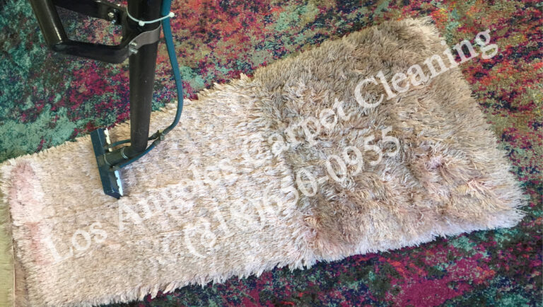 Area Rug Cleaning 8