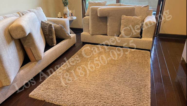 Living Room Couch and Area Rug Cleaning