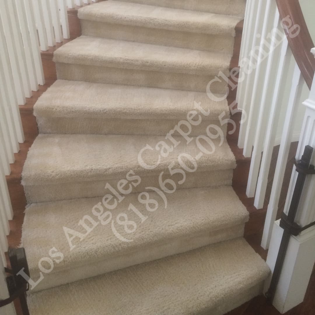 Tarzana Carpet Cleaning on Stairs