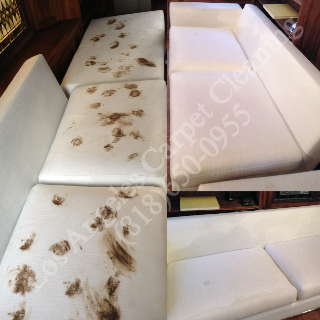 Pet Stain Removal and Spot Treatment with Los Angeles Carpet Cleaning gets amazing results!
