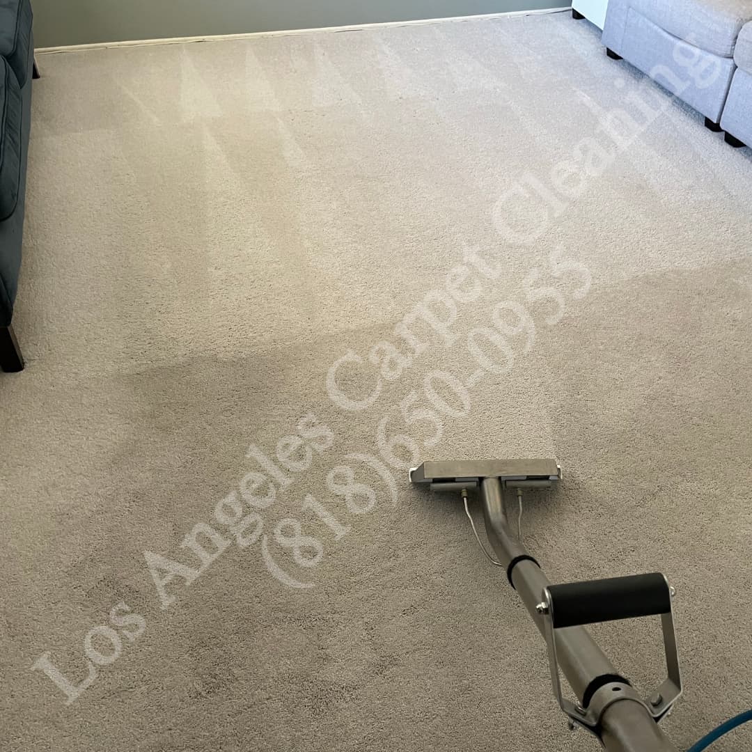 Carpet cleaning in a living room in Beverly Hills, Los Angeles