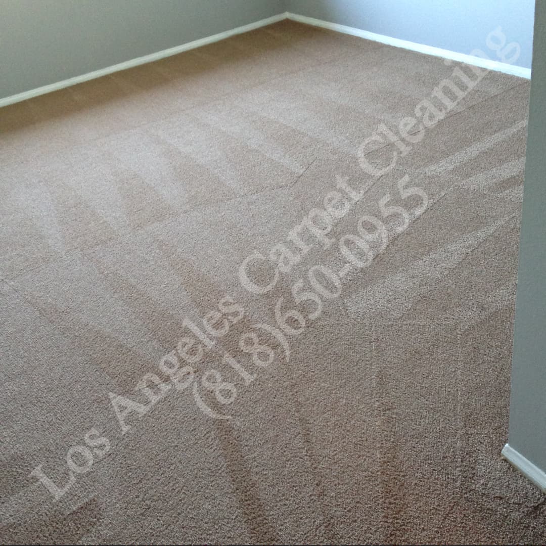 Carpet Cleaning in Encino with Los Angeles Carpet Cleaning is the best and most efficient way to get your carpets clean!