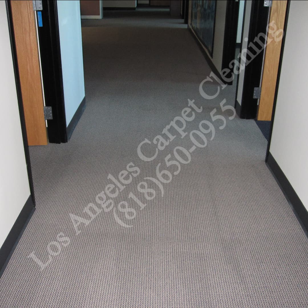 Commercial Carpet Cleaning in Office Hallway