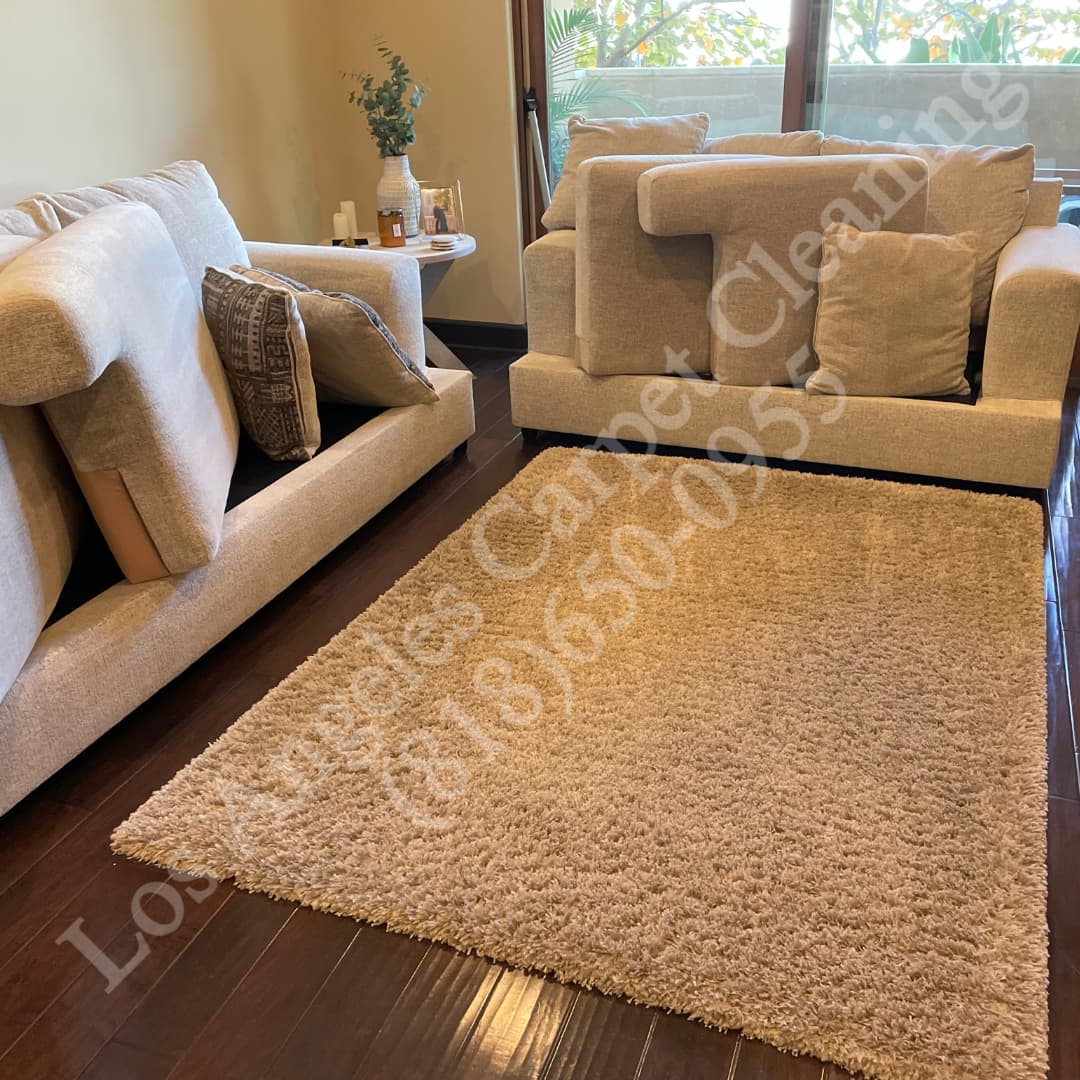 Couch and area rug cleaning in the Pacific Palisades with Los Angeles Carpet Cleaning