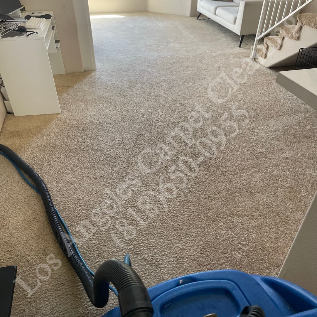 Carpet Cleaning in Studio City with Los Angeles Carpet Cleaning