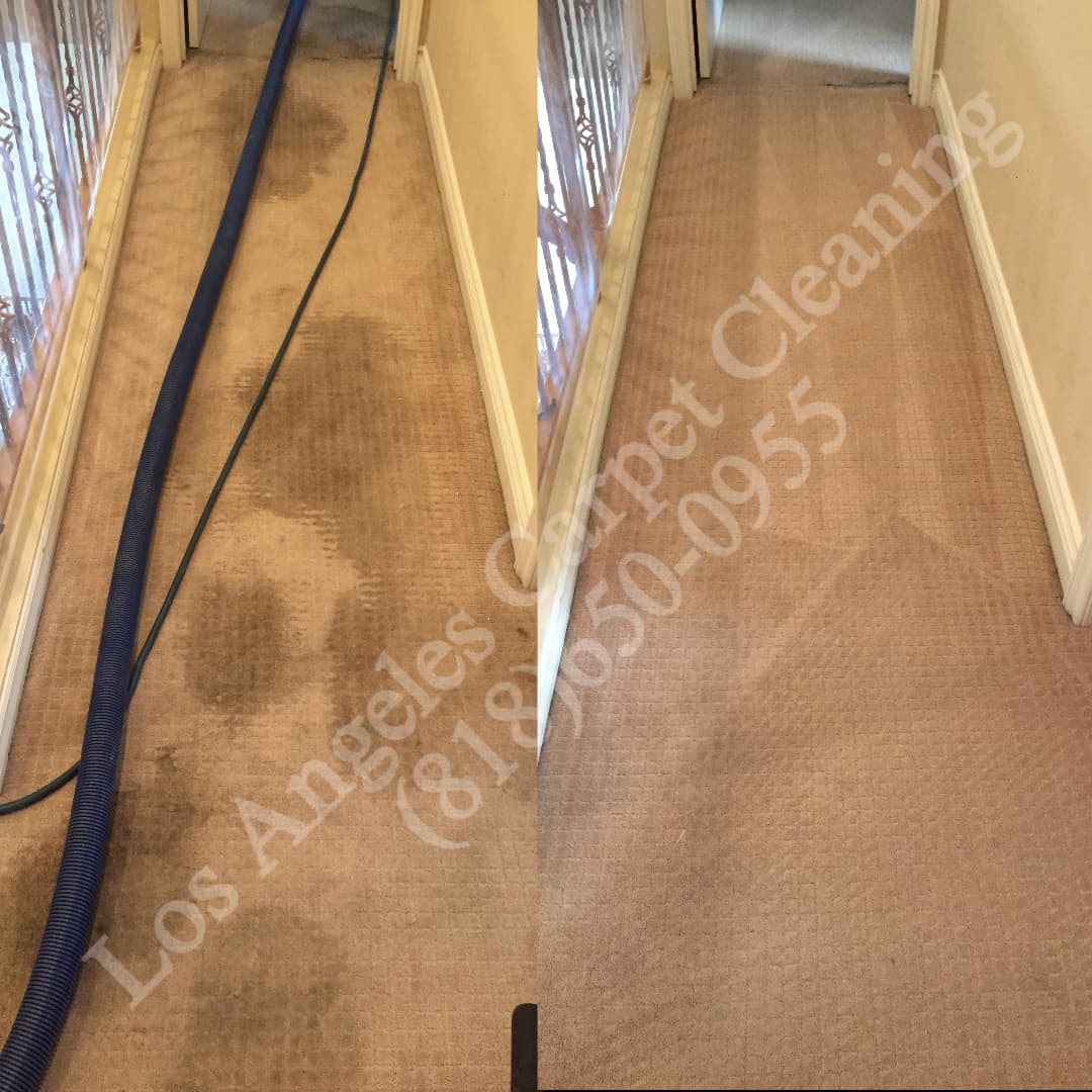 Carpet Cleaning in Chatsworth