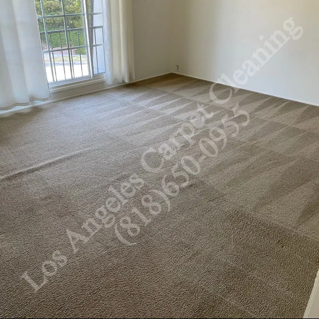 Marina Del Rey Carpet Cleaning
