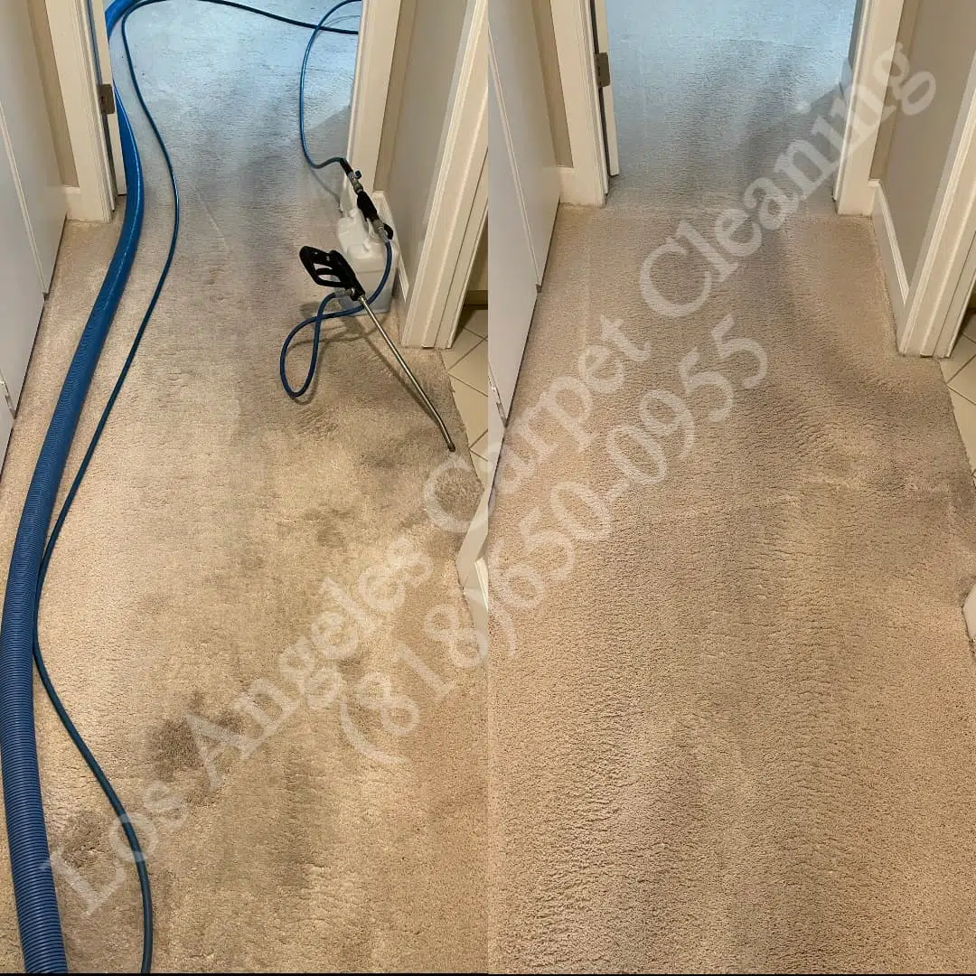 Porter Ranch Carpet Cleaning